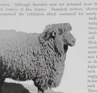 An illustration from The book of the fair; an historical and descriptive presentation of the world's science, art, and industry, as viewed through the Columbian Exposition at Chicago in 1893 .. (1895)
