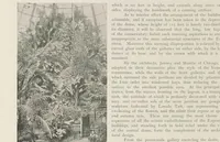 An illustration from The book of the fair; an historical and descriptive presentation of the world's science, art, and industry, as viewed through the Columbian Exposition at Chicago in 1893 (1893)