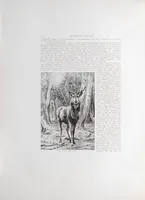 Picture 10 of 10 from The book of the fair : an historical and descriptive presentation of the world's science, art, and industry, as viewed through the Columbian exposition at Chicago in 1893 ... (1893), leaf 106