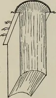 An illustration from The book : its history and development (1907)