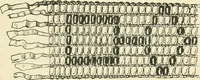 An illustration from The book, its history and development (1907)