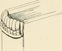 An illustration from The book, its history and development (1907)