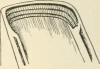 An illustration from The book, its history and development (1907)