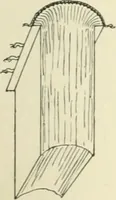An illustration from The book, its history and development (1907)
