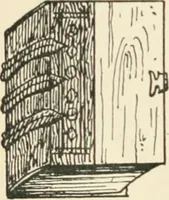 An illustration from The book, its history and development (1907)