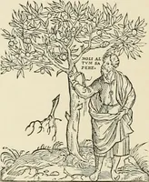 Picture 78 of 175 from The book: its printers, illustrators, and binders, from Gutenberg to the present time (1890), leaf 157