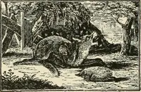 An illustration from The book: its printers, illustrators, and binders, from Gutenberg to the present time (1890)