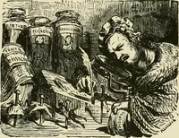 Picture 136 of 175 from The book: its printers, illustrators, and binders, from Gutenberg to the present time (1890), leaf 262