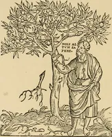 An illustration from The book; its printers, illustrators, and binders, from Gutenberg to the present time (1890)
