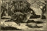 An illustration from The book; its printers, illustrators, and binders, from Gutenberg to the present time (1890)