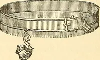 Picture 105 of 167 from The book of the Ancient and accepted Scottish rite of freemasonry (1899), leaf 353