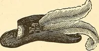 Picture 138 of 167 from The book of the Ancient and accepted Scottish rite of freemasonry (1899), leaf 457