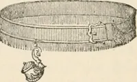 Picture 76 of 130 from The book of the ancient and accepted Scottish rite of freemasonry : containing instructions in all the degrees from the third to the thirty-third, and last degree of the rite : together with ceremonies of inauguration ... etc. (1914), leaf 353