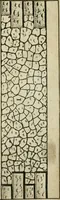 An illustration from The first book of architecture (1733)