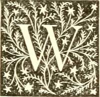 Picture 19 of 40 from Book of the artists. American artist life, comprising biographical and critical sketches of American artists: preceded by an historical account of the rise and progress of art in America (1867), leaf 212