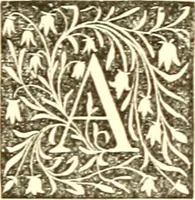 Picture 23 of 40 from Book of the artists. American artist life, comprising biographical and critical sketches of American artists: preceded by an historical account of the rise and progress of art in America (1867), leaf 248