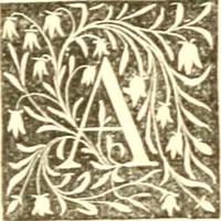 Picture 24 of 40 from Book of the artists. American artist life, comprising biographical and critical sketches of American artists: preceded by an historical account of the rise and progress of art in America (1867), leaf 262