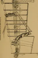 Picture 48 of 102 from The book of athletics and out-of-door sports .. (1895), leaf 154