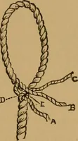 Picture 97 of 102 from The book of athletics and out-of-door sports .. (1895), leaf 294