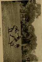 Picture 6 of 102 from The book of athletics and out-of-door sports .. (1895), leaf 30