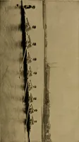 Picture 24 of 102 from The book of athletics and out-of-door sports .. (1895), leaf 64