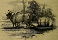 An illustration from The Book of carriages; or, A short account of modes of conveyance, from the earliest periods to the present time (1853)
