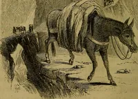 An illustration from The Book of carriages; or, A short account of modes of conveyance, from the earliest periods to the present time (1853)