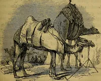 An illustration from The Book of carriages; or, A short account of modes of conveyance, from the earliest periods to the present time (1853)