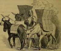 An illustration from The Book of carriages; or, A short account of modes of conveyance, from the earliest periods to the present time (1853)