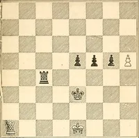 An illustration from The book of chess: containing the rudiments of the game, and elementary analyses of the most popular openings ; exemplified in games actually played by the greatest masters; including Staunton's analysis of the king's and queen's gambits, numerous positions and problems on diagrams, both original and selected; also a series of chess tales, with illustrations engraved from original designs ; the whole extracted and translated from the best sources (1857)