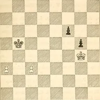 An illustration from The book of chess: containing the rudiments of the game, and elementary analyses of the most popular openings ; exemplified in games actually played by the greatest masters; including Staunton's analysis of the king's and queen's gambits, numerous positions and problems on diagrams, both original and selected; also a series of chess tales, with illustrations engraved from original designs ; the whole extracted and translated from the best sources (1857)