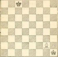 Picture 67 of 84 from The book of chess: containing the rudiments of the game, and elementary analyses of the most popular openings ; exemplified in games actually played by the greatest masters; including Staunton's analysis of the king's and queen's gambits, numerous positions and problems on diagrams, both original and selected; also a series of chess tales, with illustrations engraved from original designs ; the whole extracted and translated from the best sources (1857), leaf 266