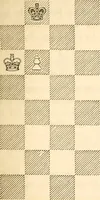 Picture 34 of 84 from The book of chess: containing the rudiments of the game, and elementary analyses of the most popular openings ; exemplified in games actually played by the greatest masters; including Staunton's analysis of the king's and queen's gambits, numerous positions and problems on diagrams, both original and selected; also a series of chess tales, with illustrations engraved from original designs ; the whole extracted and translated from the best sources (1857), leaf 86