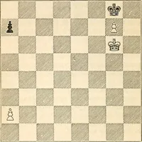 Picture 41 of 84 from The book of chess: containing the rudiments of the game, and elementary analyses of the most popular openings ; exemplified in games actually played by the greatest masters; including Staunton's analysis of the king's and queen's gambits, numerous positions and problems on diagrams, both original and selected; also a series of chess tales, with illustrations engraved from original designs ; the whole extracted and translated from the best sources (1857), leaf 99