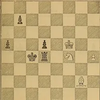 An illustration from The book of chess: containing the rudiments of the game, and elementary analyses of the most popular openings (1882)