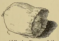 An illustration from The book of children's parties (1903)