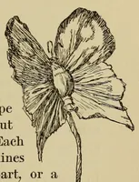 An illustration from The book of children's parties (1903)