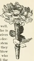 Picture 4 of 12 from The book of children's parties (1903), leaf 85