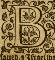 Picture 131 of 247 from Book of common prayer (1588), leaf 193