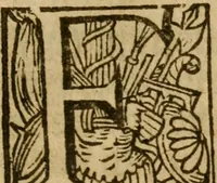 Picture 169 of 247 from Book of common prayer (1588), leaf 256