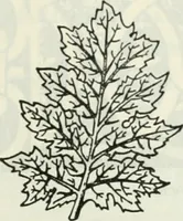 An illustration from The book of decorative furniture, its form, colour and history (1910)