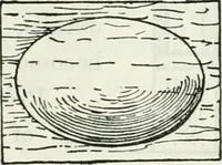 An illustration from The book of decorative furniture, its form, colour and history (1910)