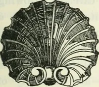 An illustration from The book of decorative furniture, its form, colour and history (1910)
