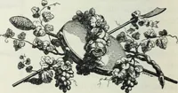 Picture 256 of 416 from The book of decorative furniture, its form, colour and history (1910), leaf 319