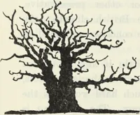 An illustration from The book of decorative furniture, its form, colour and history (1910)