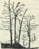 Picture 338 of 416 from The book of decorative furniture, its form, colour and history (1910), leaf 411