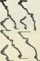 An illustration from The book of decorative furniture, its form, colour and history (1910)
