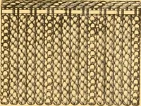 An illustration from Book of designs (1877)