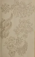 An illustration from [Book of designs (1824)