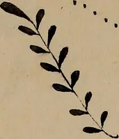 An illustration from [Book of designs (1824)